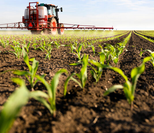 La Comisión Europea aprueba el reglamento que autoriza el uso del glifosato hasta diciembre de 2033