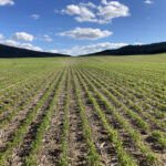 Nota aclaratoria de la Junta sobre cambios recientes en la solicitud única de la PAC 2024