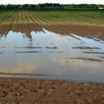 Protección Civil declara hasta mediodía del lunes 6 alerta por fuertes vientos y lluvias en toda Castilla y León