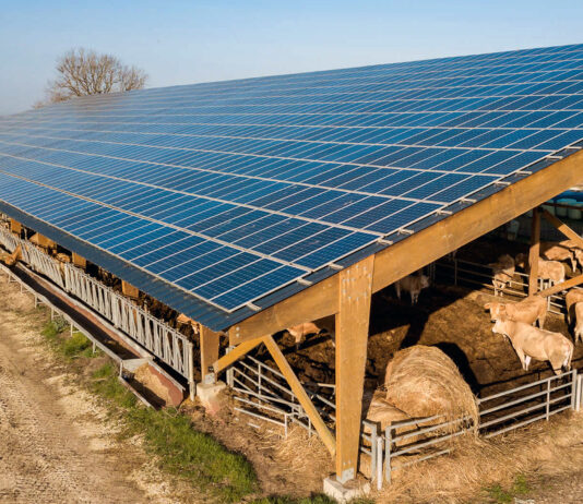 Viñalta imparte un curso gratuito sobre eficiencia energética y su aplicación en el sector agroganadero