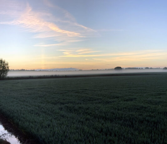 2023 iguala a 2006 en el noviembre más cálido en Palencia desde que Carralobo tiene registros (1986)