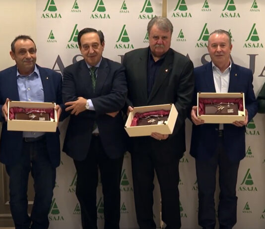 Campo Palentino | 14/diciembre/2023