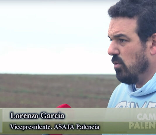 Campo Palentino | 30/noviembre/2023