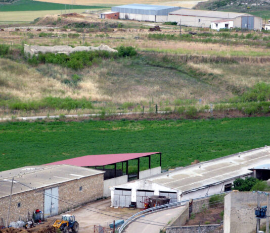 ASAJA plantea en el Consejo Agrario Provincial que se permita construir naves agrarias de más altura