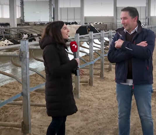 Campo Palentino | 1/FEBRERO/2024