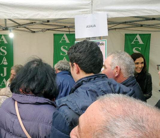 Sorteo de la Feria de las Candelas en Saldaña 2024