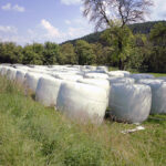 Forraje-silo-plástico-ganad