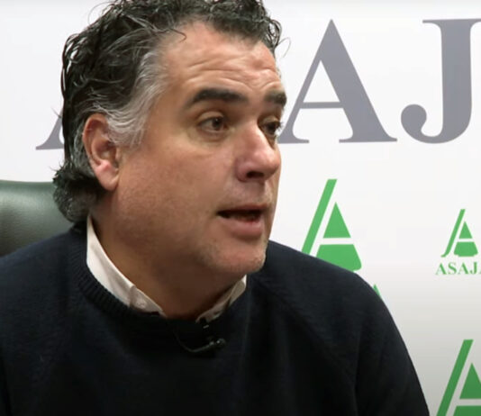 Campo Palentino | 8/FEBRERO/2024