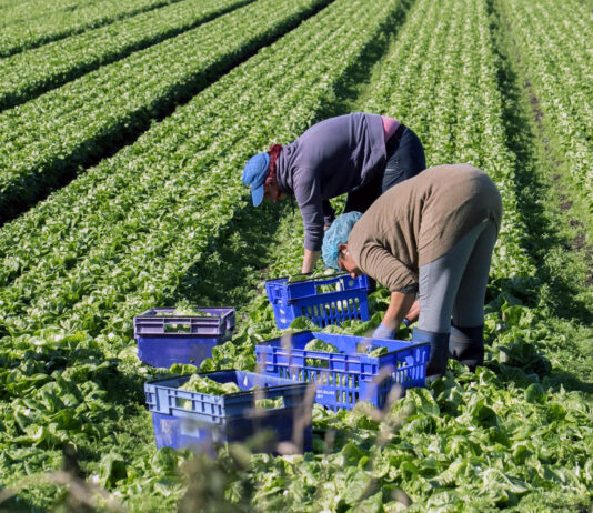 ASAJA alerta de que la reducción de la jornada laboral amenaza con agravar la crisis del campo