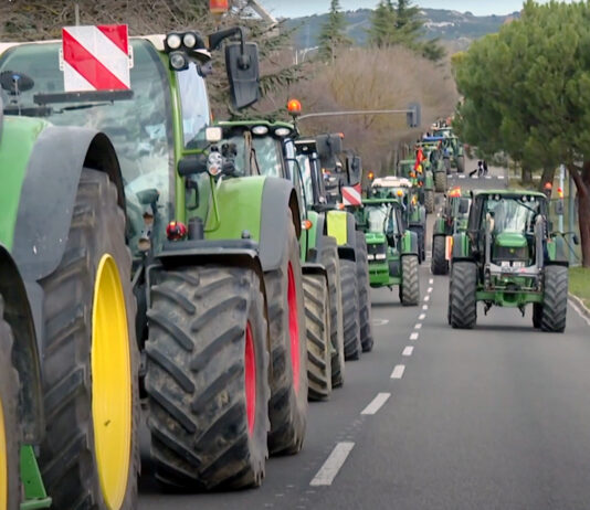 Campo Palentino | 15/FEBRERO/2024