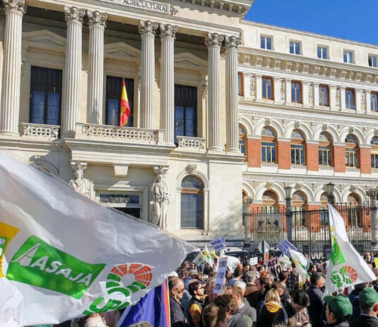 ASAJA, COAG y UPA llaman a movilizarse en Madrid este miércoles, 4 de junio, por la situación del cereal