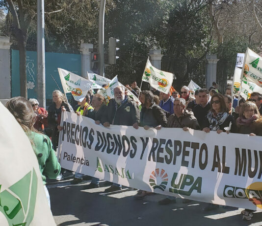 Amplia presencia del campo palentino en Madrid para reivindicar un futuro mejor en el sector agroganadero