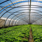 El plazo para formalizar los contratos de las ayudas agroambientales de 2023 termina el 18 de marzo