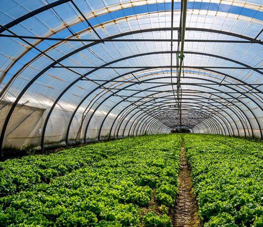 El plazo para formalizar los contratos de las ayudas agroambientales de 2023 termina el 18 de marzo