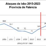 Ataques-lobo-Palencia-2015-