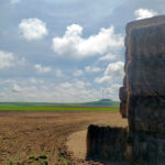 Cambios en el barbecho y la rotación de cultivos ya de muy probable aplicación para la PAC 2024