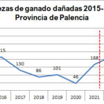 Cabezas-muerte-lobo-Palenci-1