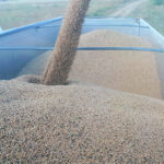 ASAJA-Palencia llama al sector agrario a concentrarse en el puerto de Santander el lunes 18 de marzo