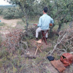 La Junta establece desde el 1 de abril un control telemático de las capturas de caza mayor en los cotos