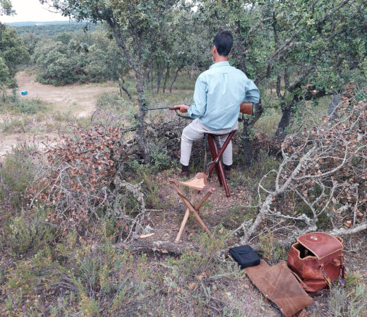 La Junta establece desde el 1 de abril un control telemático de las capturas de caza mayor en los cotos