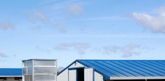 El Ministerio confina en toda España las aves de corral, incluidas las de autoconsumo, por la gripe aviar