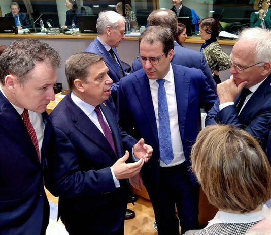 El sector agrícola pide a los ministros europeos, que el martes 26 se citan en Bruselas, simplificar más la PAC