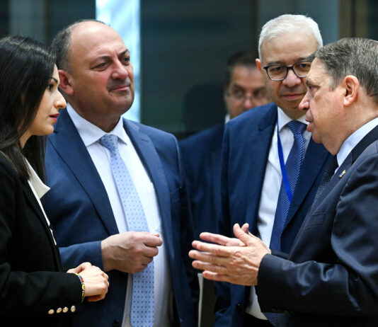 El acuerdo de la Comisión y los ministros para simplificar la PAC, pendiente ya del Europarlamento