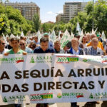 El FEGA publica la lista de agricultores de secano que recibirán estos días la ayuda de 20€/ha por sequía