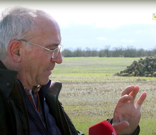 Campo Palentino | (29/FEBRERO/2024)