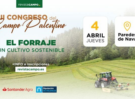 El forraje, protagonista del II Congreso del Campo Palentino, que Paredes de Nava acoge el 4 de abril