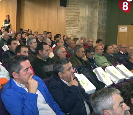 Campo Palentino (11/ABRIL/2024)