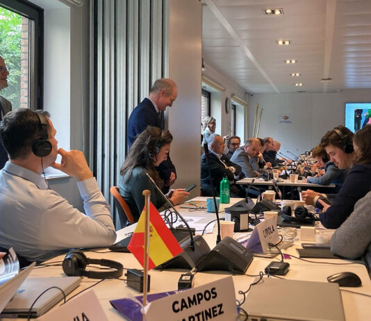 Las organizaciones del sector del espacio comunitario presentan su hoja de ruta para las Europeas