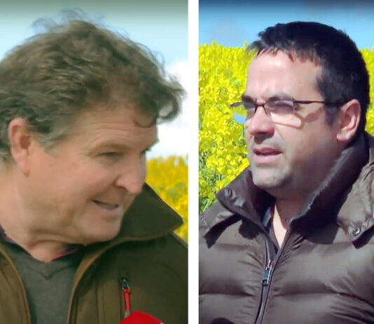 Campo Palentino | 18/ABRIL/2024