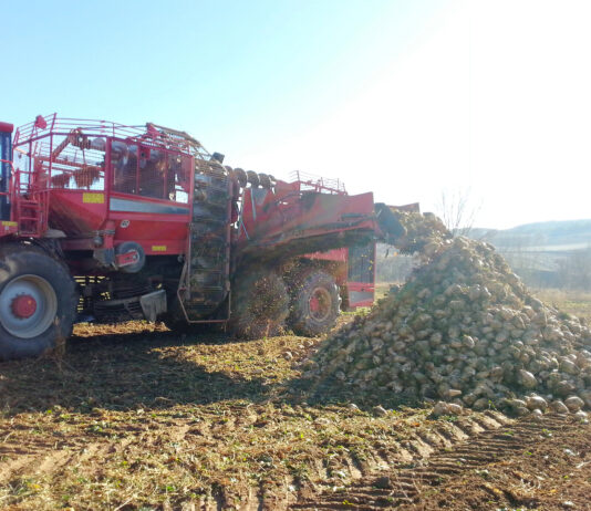 La Junta acepta todas las solicitudes de 2024 de incorporarse a la ayuda ambiental de la remolacha