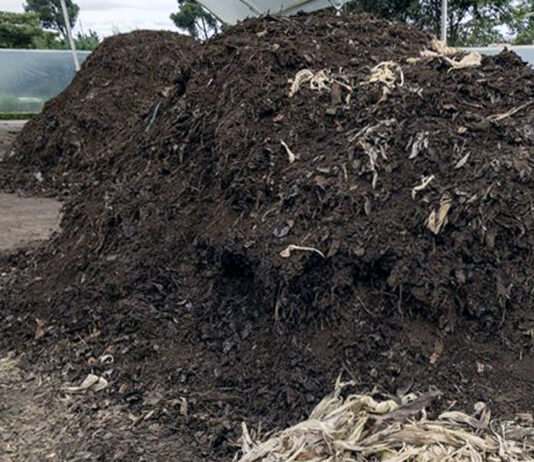 Nuevo plazo hasta el 10 de junio para incorporase a los compromisos medioambientales y climáticos