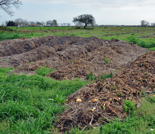Requisitos para el cumplimiento de la intervención medioambiental del abonado orgánico