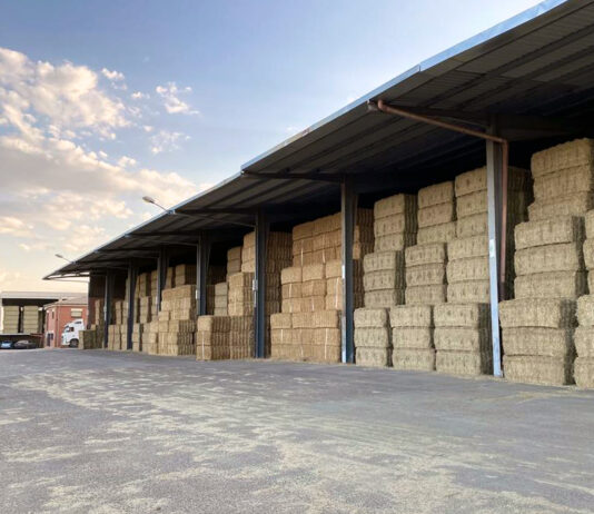 La sequía redujo el 22 % la producción de alfalfa y forrajes deshidratados en la campaña 2023-2024