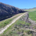 Los ayuntamientos pueden pedir hasta el 24 de junio la ayuda de la Diputación para los caminos rurales