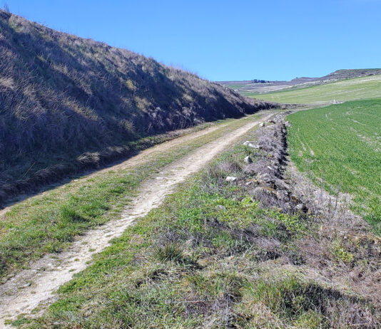 42 ayuntamientos reciben este año apoyo de la Diputación para mejoras en los caminos rurales
