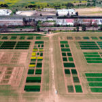 Valladolid acoge el 28 y 29 de mayo las jornadas GENVCE sobre innovación en cultivos extensivos