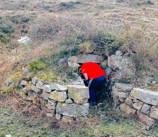 Últimos días para solicitar las ayudas de la Diputación para reparar palomares y arquitecturas tradicionales