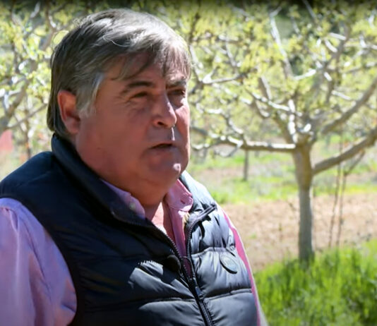 Campo Palentino | 25/ABRIL/2024