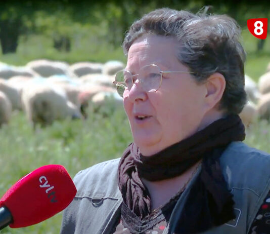 Campo Palentino | (9/MAYO/2024)