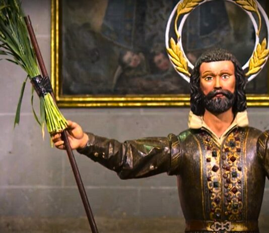 Campo Palentino | (16/MAYO/2024)