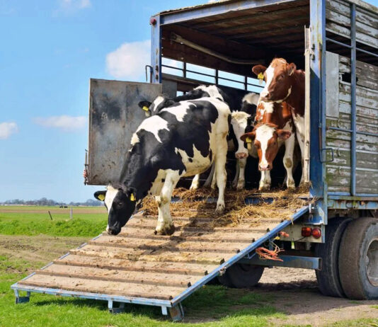 ASAJA imparte del 10 al 14 de junio en Palencia un curso de bienestar animal en el transporte