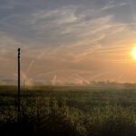 La Confederación del Duero eleva a 6.000 metros cúbicos/hectárea la dotación de riego del Pisuerga