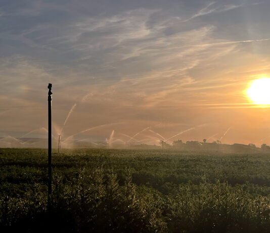 La Confederación del Duero eleva a 6.000 metros cúbicos/hectárea la dotación de riego del Pisuerga