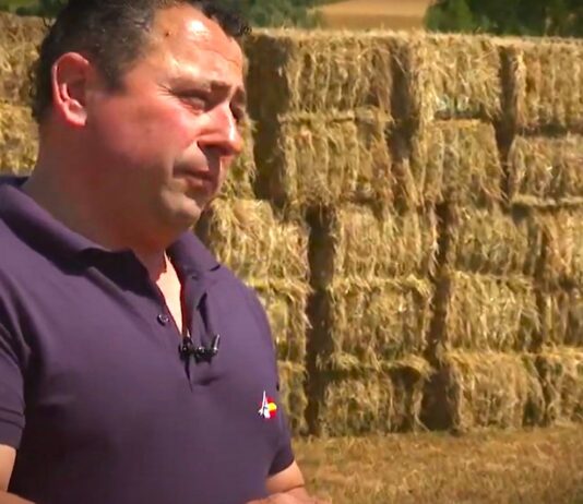 Campo Palentino | (6/JUNIO/2024)