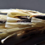 La Junta aconseja vigilar la presencia de anguina en cebadas en la provincia de Palencia