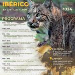 Programa-jornada-lince